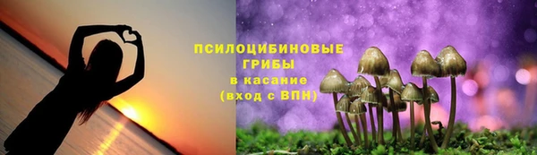 гидропоника Медногорск