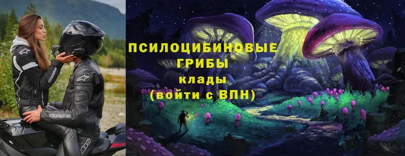 Галлюциногенные грибы Magic Shrooms  Инта 